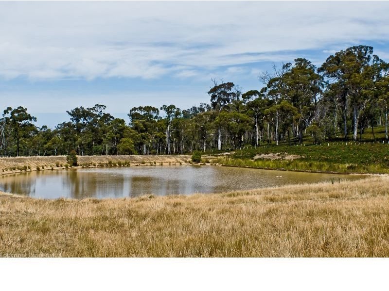 747 White Kangaroo Road, Campania TAS 7026