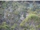 Lot 1 Cranes Road, Dromedary TAS 7030