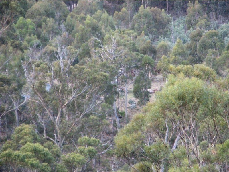 Lot 1 Cranes Road, Dromedary TAS 7030