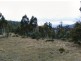 Lot 1 Cranes Road, Dromedary TAS 7030