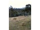 Lot 1 Cranes Road, Dromedary TAS 7030
