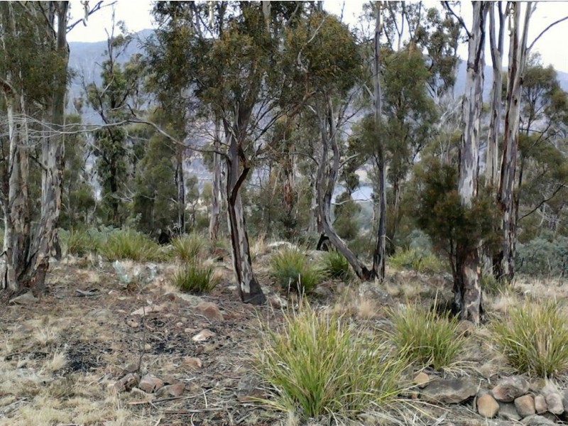 Lot 1 Cranes Road, Dromedary TAS 7030