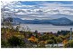510 Churchill Avenue, Sandy Bay TAS 7005