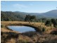 650 Bream Creek Road, Bream Creek TAS 7175