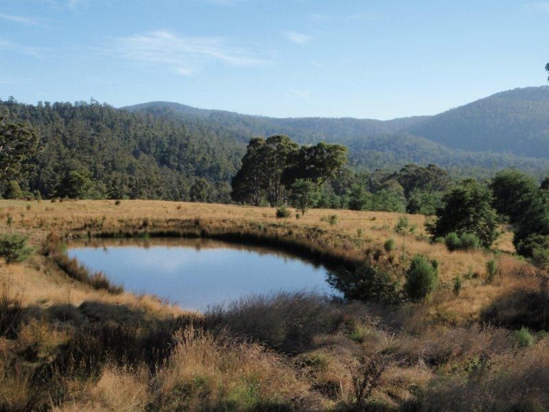 650 Bream Creek Road, Bream Creek TAS 7175