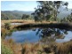 650 Bream Creek Road, Bream Creek TAS 7175