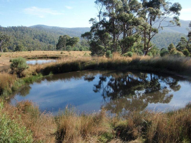 650 Bream Creek Road, Bream Creek TAS 7175