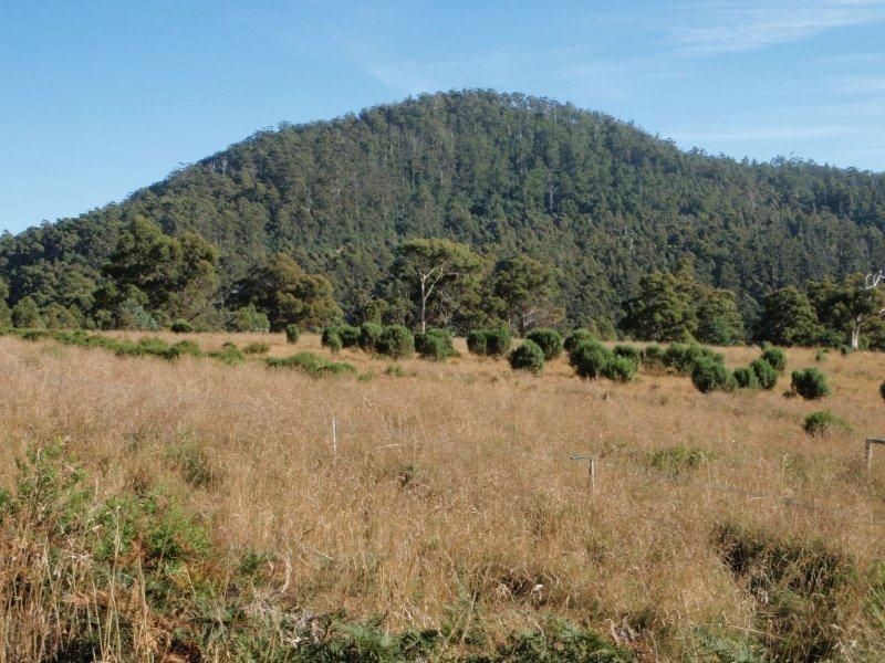 650 Bream Creek Road, Bream Creek TAS 7175