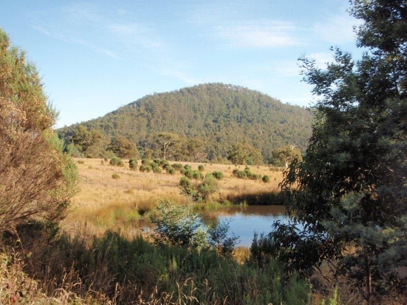 650 Bream Creek Road, Bream Creek TAS 7175