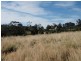 650 Bream Creek Road, Bream Creek TAS 7175