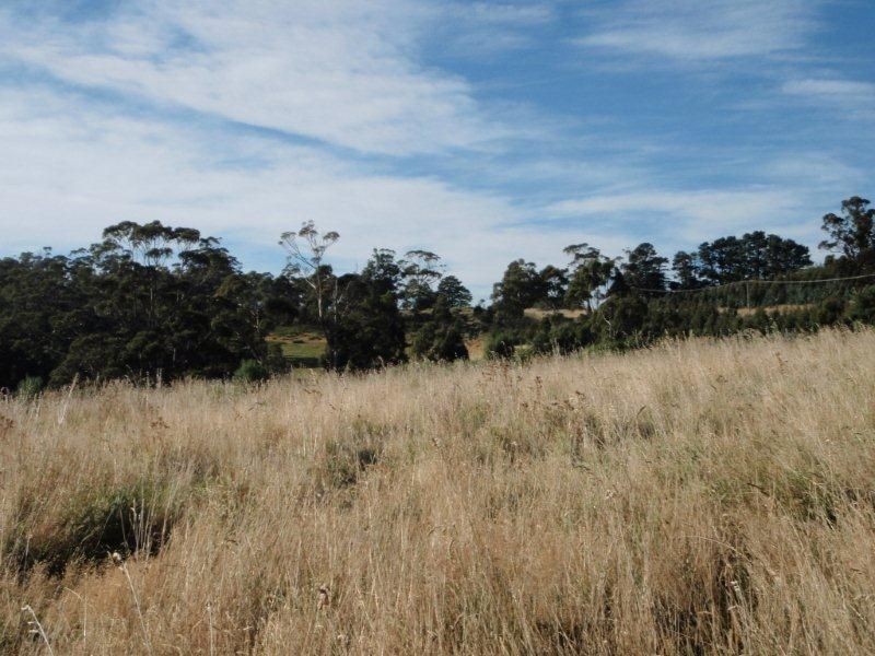 650 Bream Creek Road, Bream Creek TAS 7175