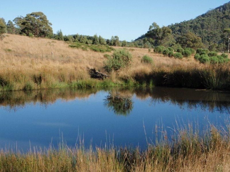 650 Bream Creek Road, Bream Creek TAS 7175
