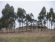 1390 Nugent Road, Wattle Hill TAS 7172