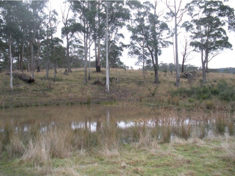 1390 Nugent Road, Wattle Hill TAS 7172