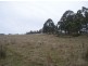 1390 Nugent Road, Wattle Hill TAS 7172