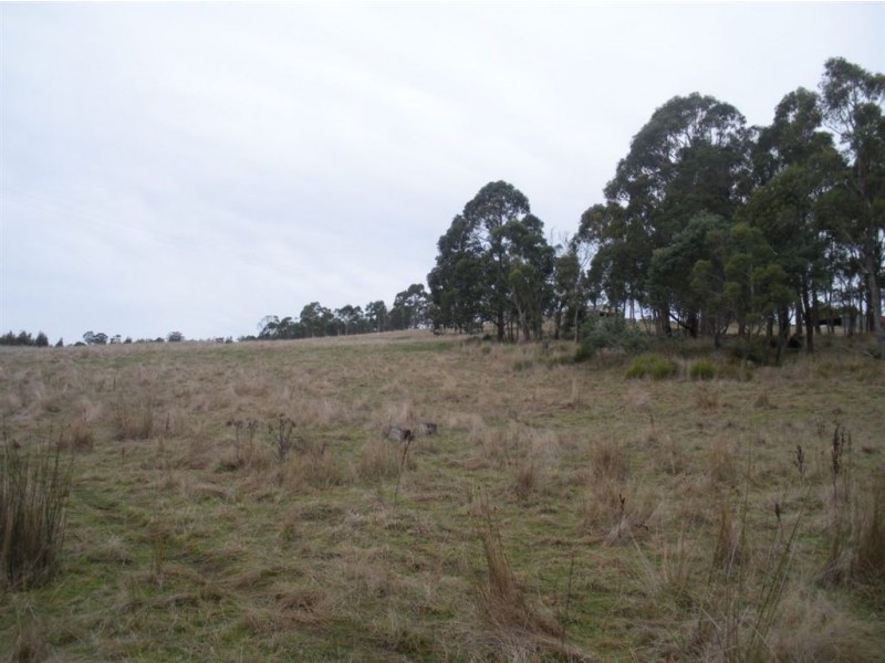 1390 Nugent Road, Wattle Hill TAS 7172
