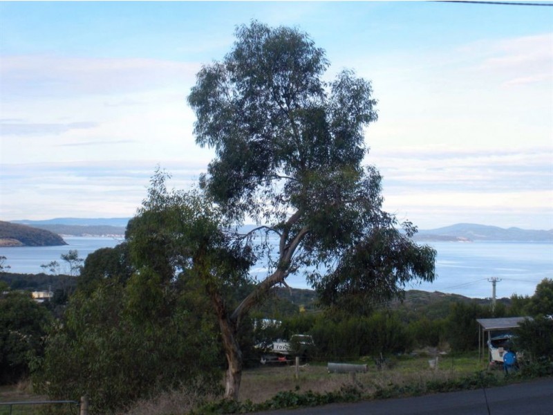 16 Wattle Road, Dodges Ferry TAS 7173