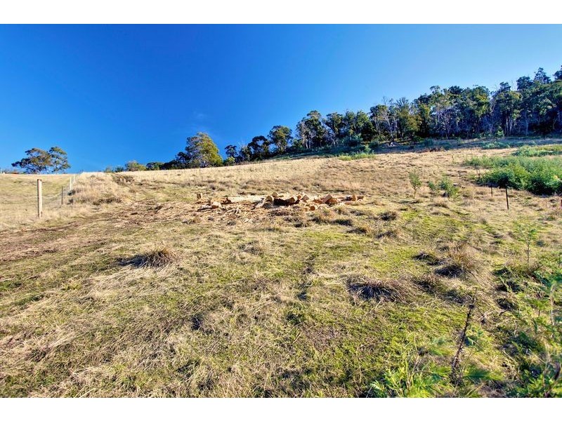 91 Gangells Lane, Bagdad TAS 7030