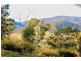 91 Gangells Lane, Bagdad TAS 7030