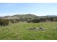 Lot 21 Braeview Drive, Old Beach TAS 7017