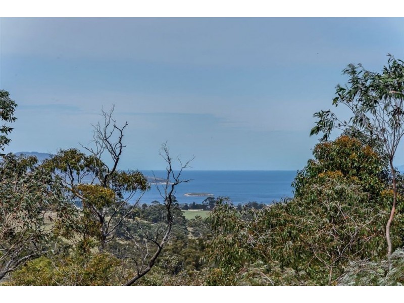 Lot 1/533 Sugarloaf Road, Carlton River TAS 7173