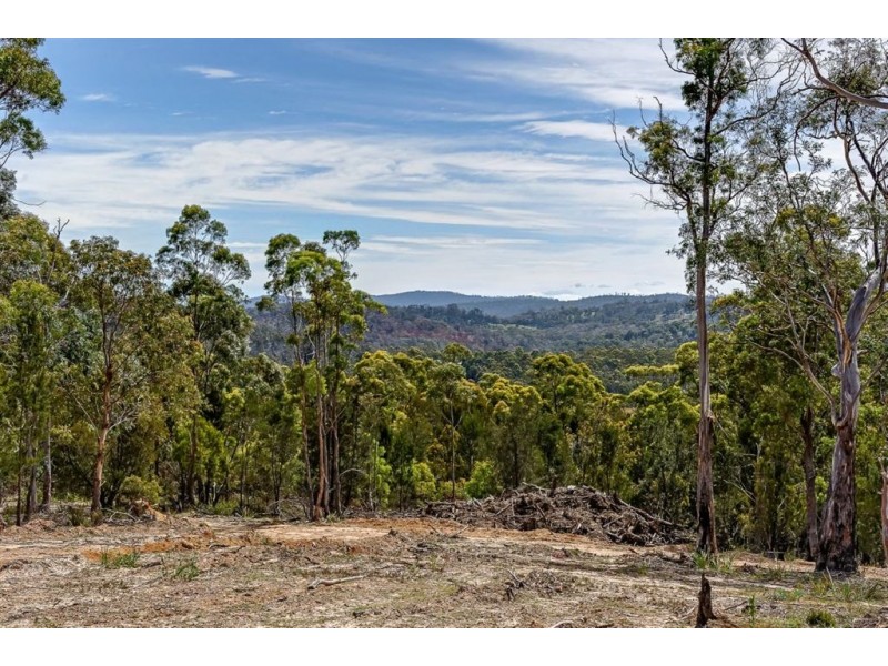 Lot 1/533 Sugarloaf Road, Carlton River TAS 7173