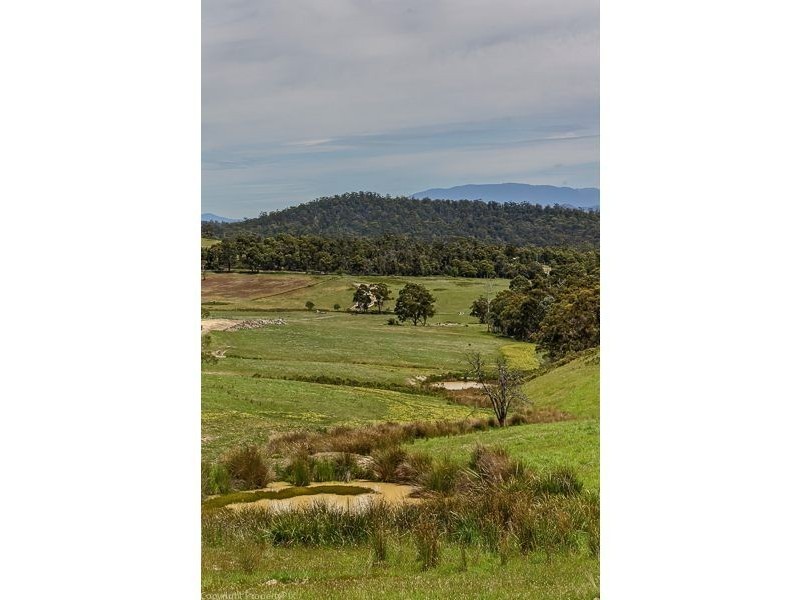 Lot 3/533 Sugarloaf Road, Carlton River TAS 7173
