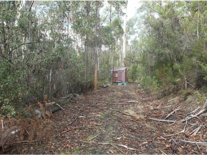 79 Talbots Road, Sandfly TAS 7150