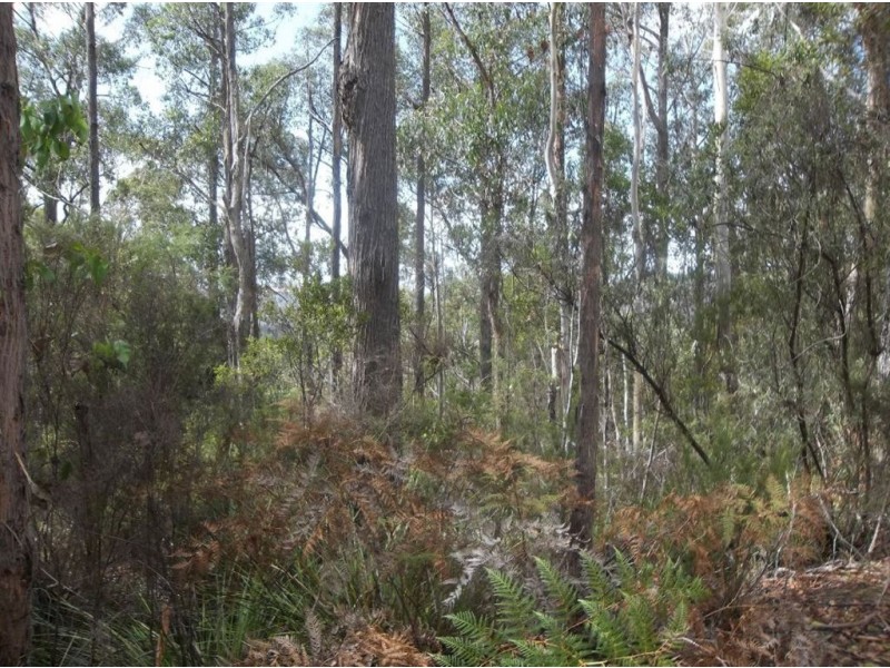 79 Talbots Road, Sandfly TAS 7150