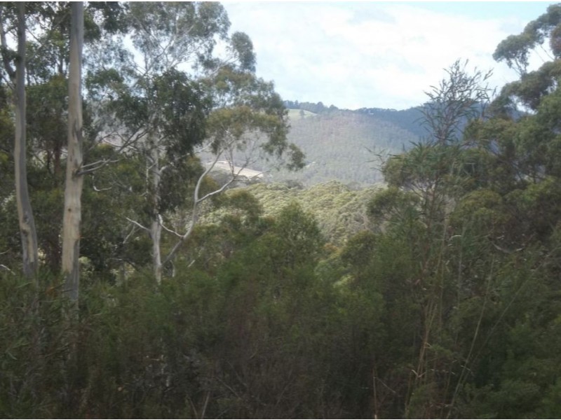 79 Talbots Road, Sandfly TAS 7150