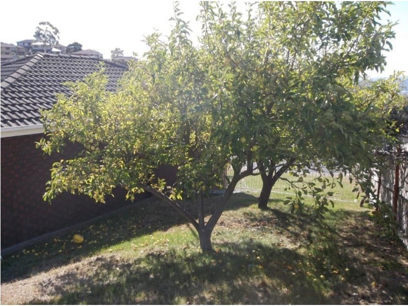 7 Bundaberg Court, Glenorchy TAS 7010