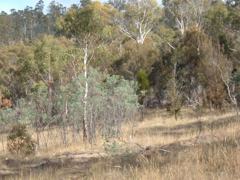 Lots 1+2 Kensington Street, New Norfolk TAS 7140