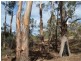 Lots 1+2 Kensington Street, New Norfolk TAS 7140