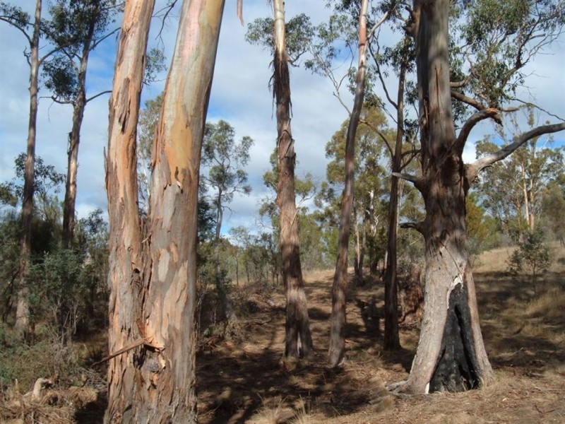 Lots 1+2 Kensington Street, New Norfolk TAS 7140