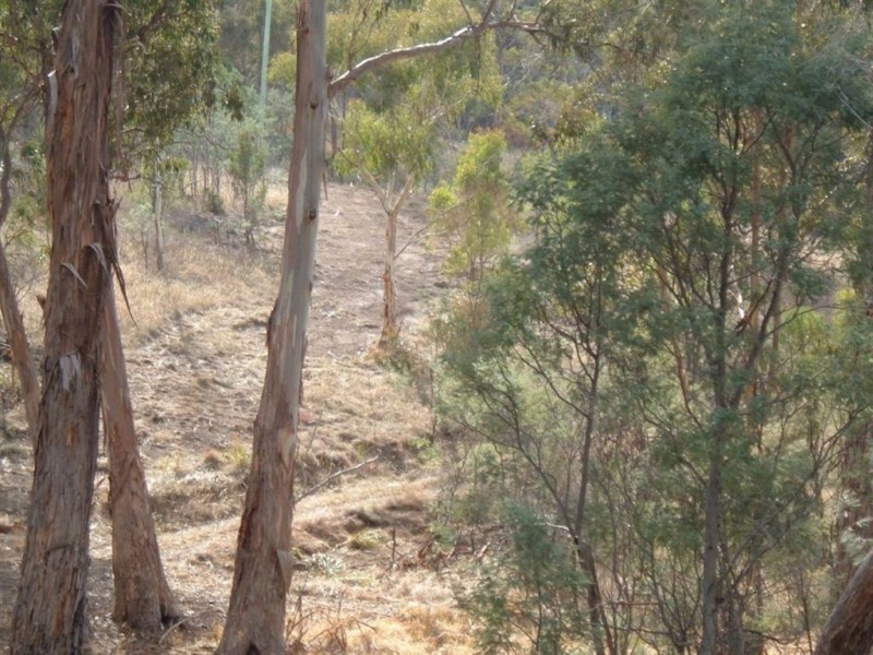 Lots 1+2 Kensington Street, New Norfolk TAS 7140