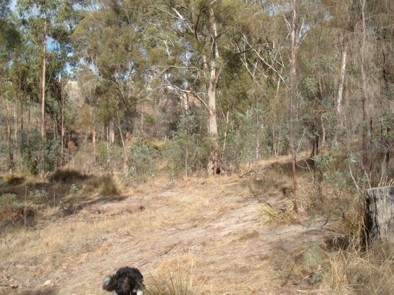 Lots 1+2 Kensington Street, New Norfolk TAS 7140