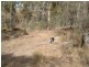 Lots 1+2 Kensington Street, New Norfolk TAS 7140