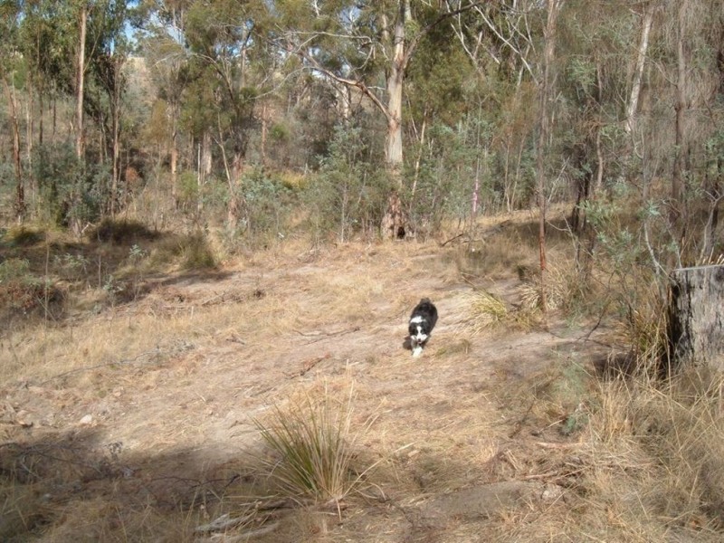 Lots 1+2 Kensington Street, New Norfolk TAS 7140