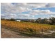 487 White Kangaroo Road, Campania TAS 7026