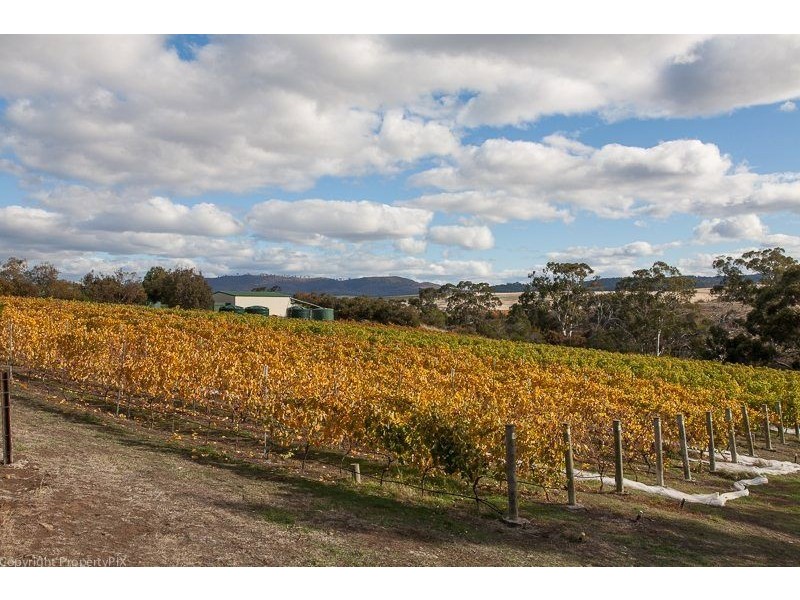 487 White Kangaroo Road, Campania TAS 7026
