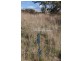 487 White Kangaroo Road, Campania TAS 7026