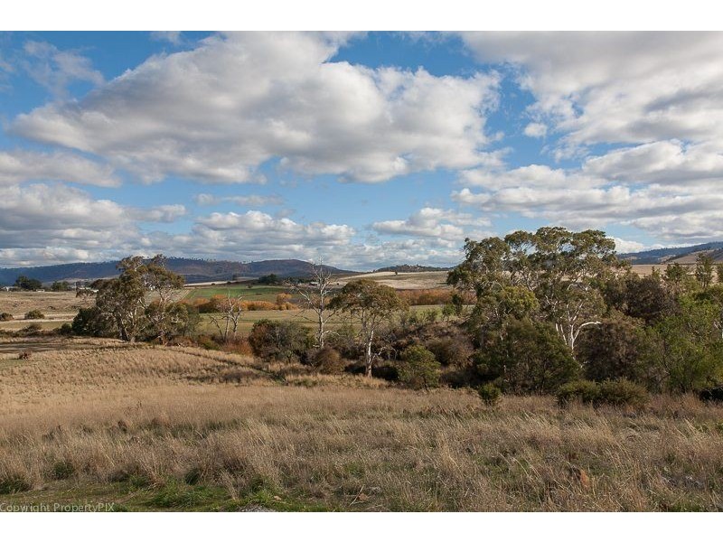 487 White Kangaroo Road, Campania TAS 7026