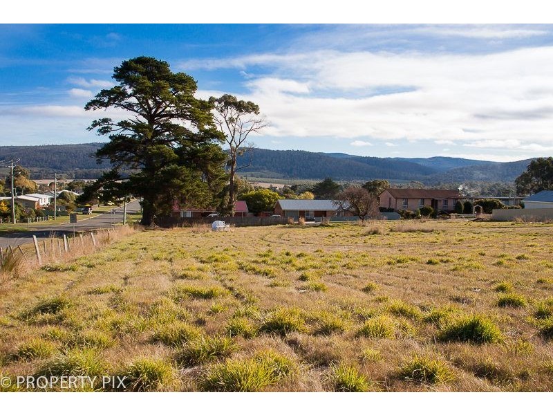Lot 2/41 Inkerman Street, Triabunna TAS 7190