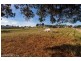 Lot 2/41 Inkerman Street, Triabunna TAS 7190