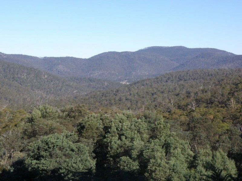 81 Daniels Road, Colebrook TAS 7027