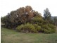 Lots 73-87 Presnell Street, Granton TAS 7030