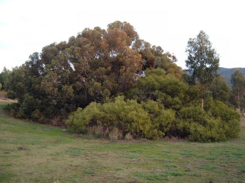 Lots 73-87 Presnell Street, Granton TAS 7030