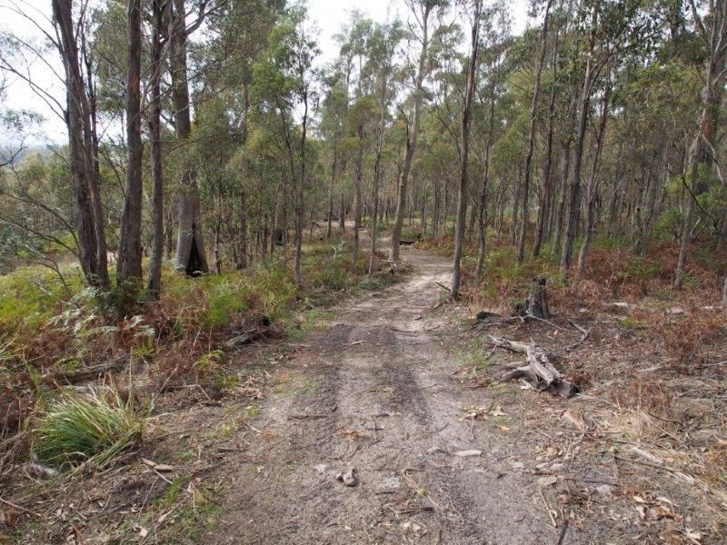 0 Forest Road, Rhyndaston TAS 7120