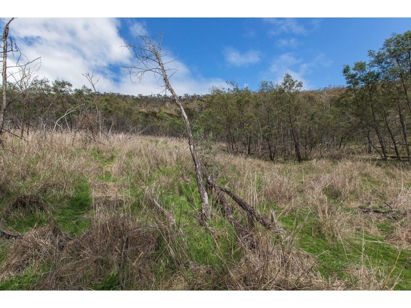 Lot 1/90 Poulters Road, New Norfolk TAS 7140