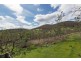 Lot 1/90 Poulters Road, New Norfolk TAS 7140